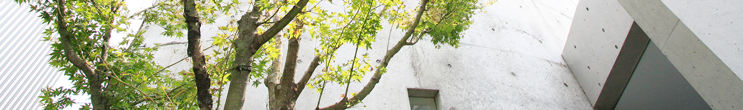 胃・大腸内視鏡センター：穣クリニック